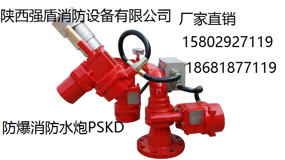 渭南市消防供应大空间自动消防水炮强盾PSKD电控消防水炮