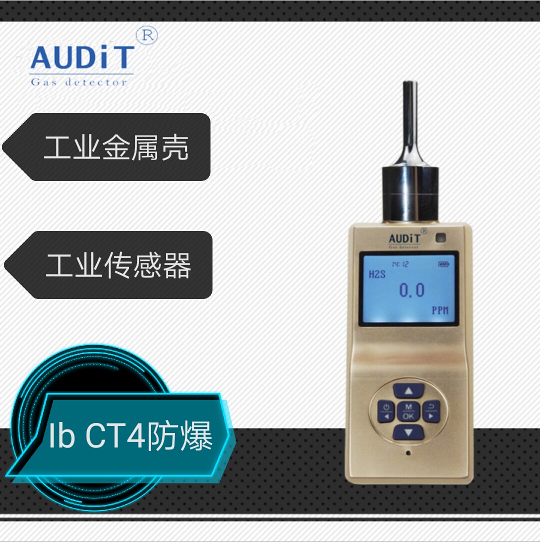 废气VOCS便携式检测仪厂家