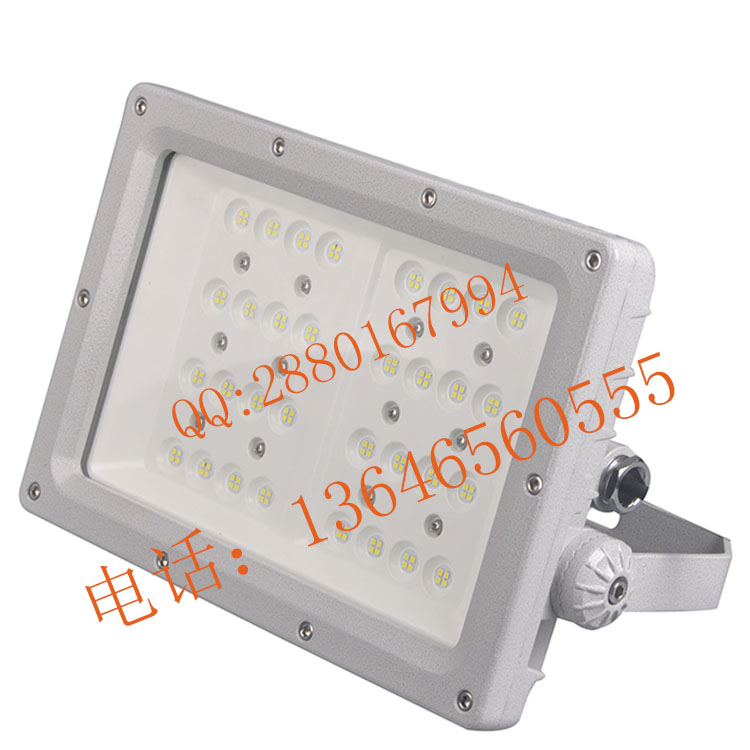 BCd63120防爆高效节能LED灯003