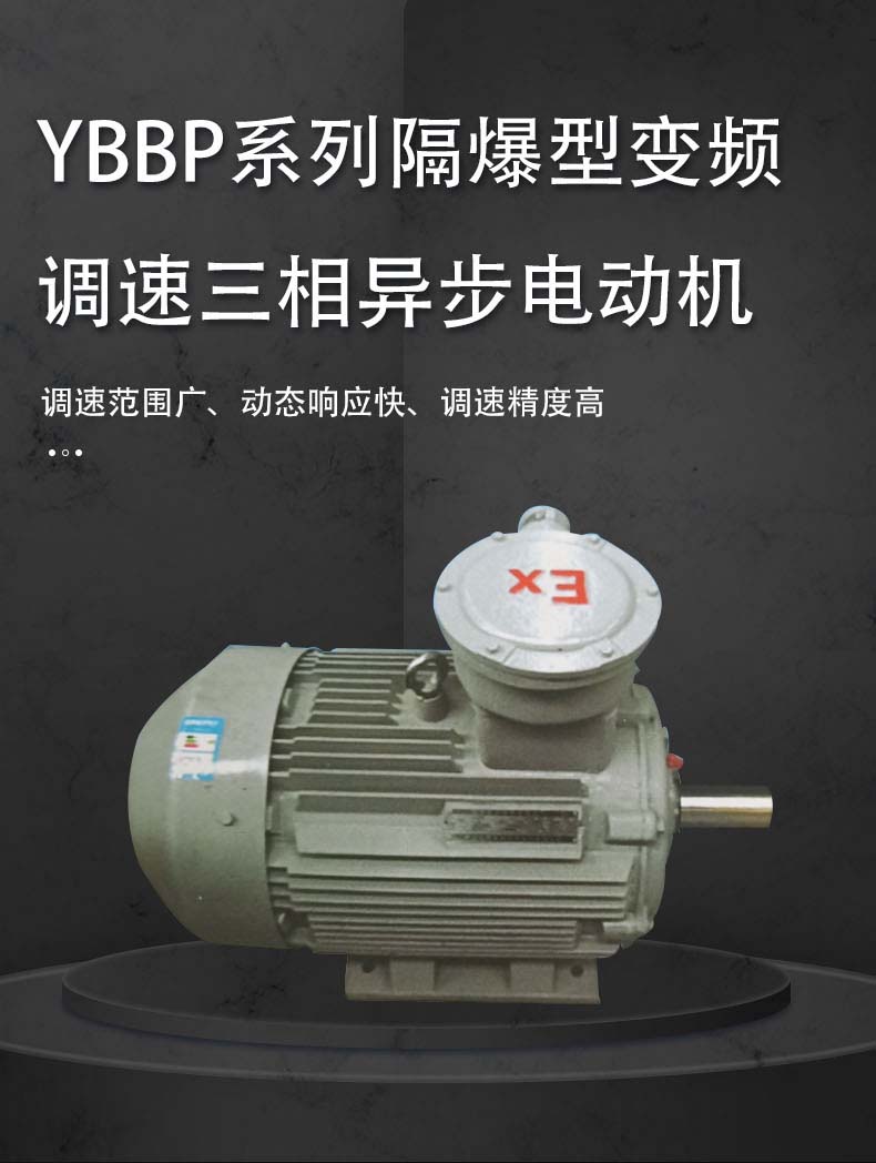 YBBP系列隔爆型变频调速三相异步电动机