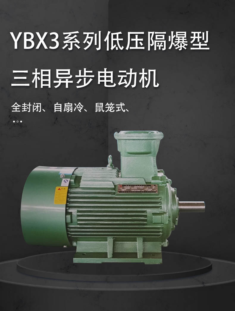  YBX3系列低压隔爆型三相异步电动机