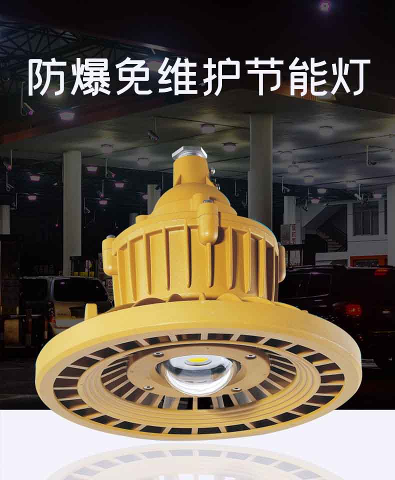  防爆免维护节能灯