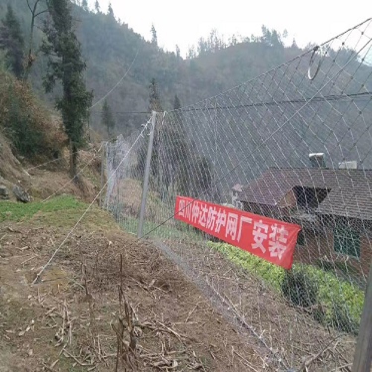 四川资阳景区菱形RX系列被动网施工厂家